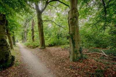 Huis ter heide, Universumlaan 7 