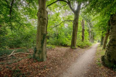 Huis ter heide, Universumlaan 9 